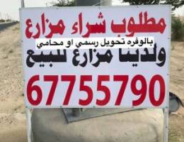للبيع مزرعه في الوفره١٢٥٠٠ زاويه