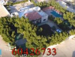 استراحة في الهجن  للإجار اليومي للعائلات