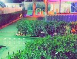 ايجار يومي للعوايل