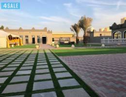 الهجن كبد يوووومي