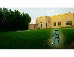 إستراحة زيلامسي بالهجن للتأجير اليومي 55