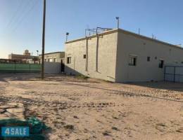 الهجن شارع المطافي