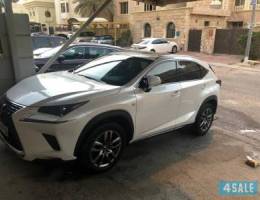 حولي دوار صادق