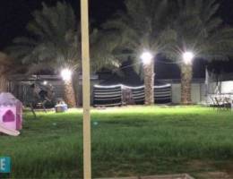 جاخور للاجار