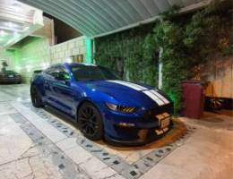 شلبي gt350