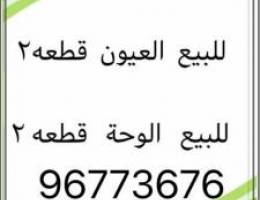 🏫للبيع في العيون 🌴وألواحه 🏫