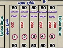 للبيع مزارع بالوفرة ١٠ آلاف زاويا طريق ٥
