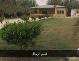 مزرعة بالوفرة للايجار