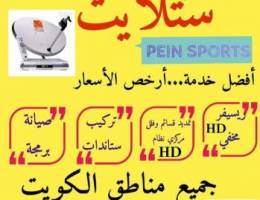 فني ستلايت
