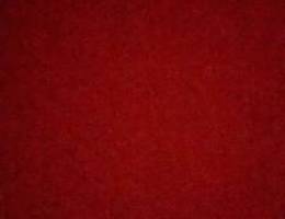 بيت  شعبي من حصه الإسكان  للجادين فقط.