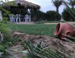 🌷للإيجار مزرعة بالعبدلي🌷