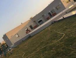 مزرعة النوري في العبدلي للعائلات فقط🏡