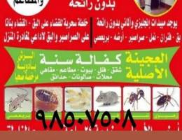 الماجد الكويتيه لمكافحة الحشرات والقوارض