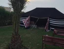 للايجار اليومي