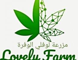 Ù„Ù„Ø§ÙŠØ¬Ø§Ø± Ù…Ø²Ø±Ø¹Ø© Ù„ÙˆÙÙ„ÙŠ Ø§Ù„ÙˆÙØ±Ø© ØªØ´Ø·ÙŠØ¨ Ø¬Ø¯ÙŠØ¯ Ù…Ùˆ