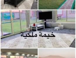 استراحة كبد ق 11