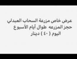 مزرعة السحاب للايجار اليومي بالعبدلي