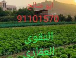 Ù…Ø·Ù„ÙˆØ¨ ÙˆÙ„Ø¯ÙŠÙ†Ø§  Ù…Ø²Ø§Ø±Ø¹ Ø¨Ø§Ù„ÙˆÙØ±Ù‡ Ø¹ Ø·Ø±ÙŠÙ‚ 500