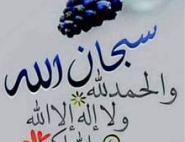 مطلوب بيت غرب عبدالله المبارك راس ارتداد