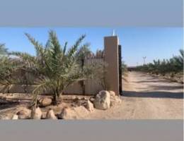 العبدلي مزرعة دار الجود