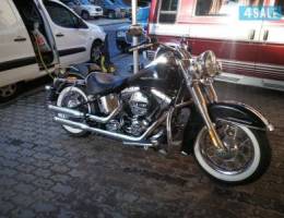 H-D softail deluxe