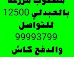 مطلوب مزرعة بالعبدلي 12500 ألف