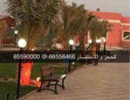 💞 مزرعة صبا العبدلي 💞