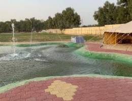 الوفره طريق 800