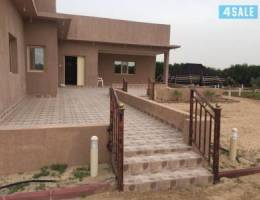 مزرعة ريفال العبدلي للايجار