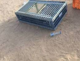 حمام دحل خلف اصطبلت الجهراء