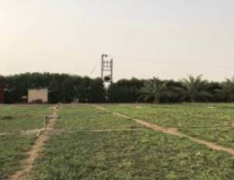 للبيع مزرعه بالعبدلي