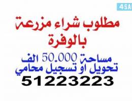 مطلوب شراء مزرعه بالوفره المساحه ‏50,000