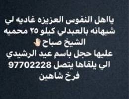 ياهل النفوس العزيزه