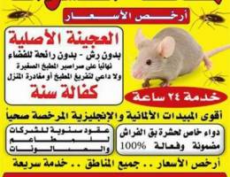 الماجد الكويتيه لمكافحة الحشرات والقوارض