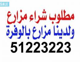 مطلوب شراء مزرعه بالوفره المساحه ‏50,000