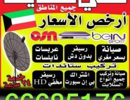 فني ستلايت