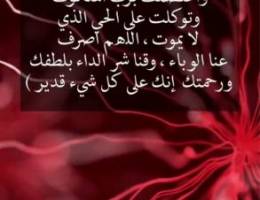 مزرعه للبيع بالوفره (شركة نباتيه) ٧٥ الف