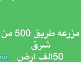 الوفره