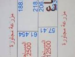للبيع مزارع في العبدلي مساحات ١٢.٥ من مز