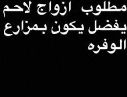 مطلوب لاحم