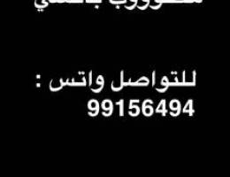مطلوووب بانشي