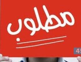 مطلوب بيركنز ٨٠ الف او ١٠٠ الف