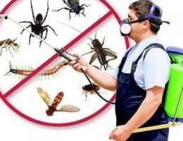 مكافحة حشرات وقوارض بأحداث المواد المرخص