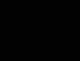 السالمية